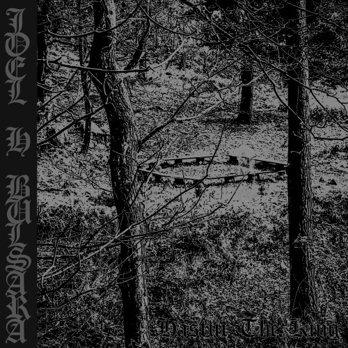 Joel H Bulsara Fuses Grunge and Gothic Doom on New Album Hastur the King